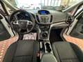 Ford C-Max C-Max 1.0 EcoBoost 125CV Start&Stop Titanium Bianco - thumbnail 8