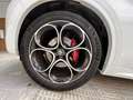 Alfa Romeo Stelvio 2.2 Diésel 154kW (210CV) Veloce Q4 Blanco - thumbnail 20