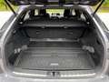 Lexus RX 450h 450h Hybrid F Sport IVA ESCLUSA EXPORT Grau - thumbnail 16