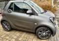 smart forTwo EQ cabrio 17,6kWh prime Grau - thumbnail 11