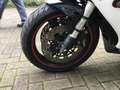Triumph Daytona T 595 130 PS Blanc - thumbnail 11