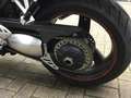 Triumph Daytona T 595 130 PS Blanc - thumbnail 10