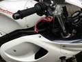 Triumph Daytona T 595 130 PS Blanc - thumbnail 15