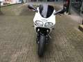 Triumph Daytona T 595 130 PS Blanc - thumbnail 7