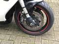 Triumph Daytona T 595 130 PS Blanc - thumbnail 8
