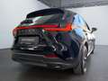 Lexus NX 300 NX Hybrid 4WD Business Nero - thumbnail 6