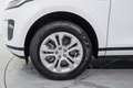 Land Rover Range Rover Evoque 2.0D I4 MHEV S AWD Aut. 163 Blanco - thumbnail 11