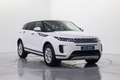 Land Rover Range Rover Evoque 2.0D I4 MHEV S AWD Aut. 163 Blanco - thumbnail 3