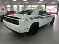 Dodge Challenger 6,4l V8 R/T Scat Pack/ AUT/ SZH Alb - thumbnail 9