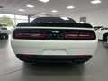 Dodge Challenger 6,4l V8 R/T Scat Pack/ AUT/ SZH Alb - thumbnail 8
