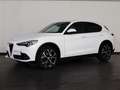 Alfa Romeo Stelvio 2.2 t super q4 210cv auto Bianco - thumbnail 1