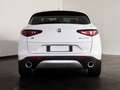 Alfa Romeo Stelvio 2.2 t super q4 210cv auto Bianco - thumbnail 5