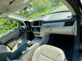 Mercedes-Benz ML 250 ML 250 BlueTEC 4MATIC Aut. DPF Negru - thumbnail 13