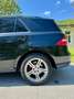 Mercedes-Benz ML 250 ML 250 BlueTEC 4MATIC Aut. DPF Negru - thumbnail 7