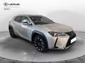 Lexus UX 250h Premium 4wd cvt Argento - thumbnail 3