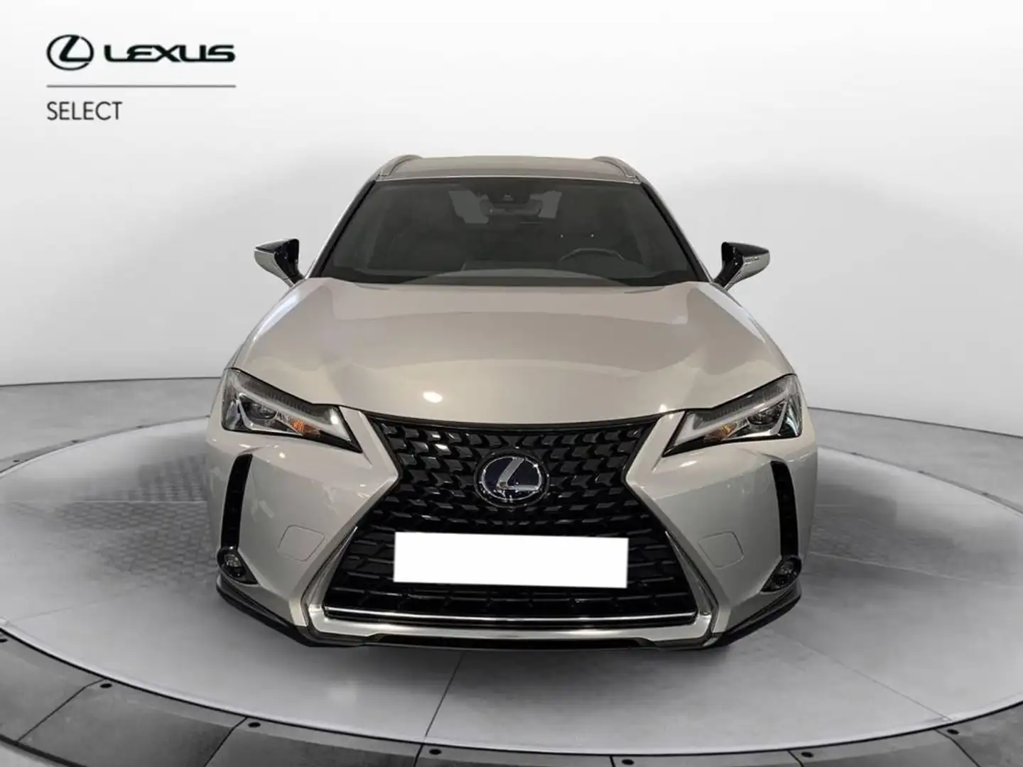 Lexus UX 250h Premium 4wd cvt Argento - 2