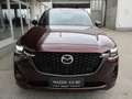 Mazda CX-80 3.3L e-SKYACTIV D AWD Homura Plus Aut. Rot - thumbnail 2