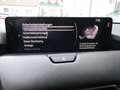 Mazda CX-80 3.3L e-SKYACTIV D AWD Homura Plus Aut. Rot - thumbnail 19