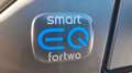 smart forTwo EQ LED PANO KAMERA SHZ. 22 KW Schwarz - thumbnail 24