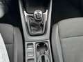 Skoda Octavia Combi 1.5 TSI Ambition 150pk, PANO+OPEN DAK/KEYLES Plateado - thumbnail 30