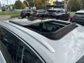 Skoda Octavia Combi 1.5 TSI Ambition 150pk, PANO+OPEN DAK/KEYLES Plateado - thumbnail 7