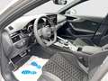 Audi RS4 edition 25 years 1of250/Keramik/300km/h/Schalensitze/143UPE Gris - thumbnail 8