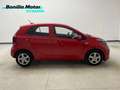 Kia Picanto 1.0 DPi Concept Rojo - thumbnail 4