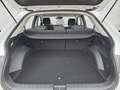 Hyundai IONIQ 5 Basis Elektro Navi SCC HBA 19Zoll Kamera Keyles... Weiß - thumbnail 14