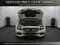 Mercedes-Benz C 250 d T Avantgarde *Distro+*Pano*AHK*BURM*AIR* Blanc - thumbnail 6