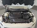 Volvo V40 D2 Momentum 120 Blanco - thumbnail 19