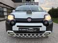 Fiat Panda Cross 1.0i HYBRID Cross⚠️GARANTIE 12 MOIS⚠ Wit - thumbnail 7
