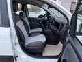 Fiat Panda Cross 1.0i HYBRID Cross⚠️GARANTIE 12 MOIS⚠ Wit - thumbnail 15