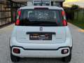 Fiat Panda Cross 1.0i HYBRID Cross⚠️GARANTIE 12 MOIS⚠ Wit - thumbnail 8