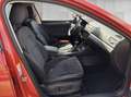 Skoda Superb Combi 2.0 TSI Style 4x4 DSG 360°*4xSHZ*LM Rot - thumbnail 19