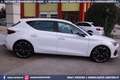 CUPRA Leon VZ 2.0 TSI DSG 5p 300CV *ONLY 13.278 KM ! Weiß - thumbnail 22