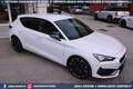 CUPRA Leon VZ 2.0 TSI DSG 5p 300CV *ONLY 13.278 KM ! Weiß - thumbnail 21