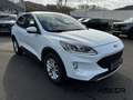 Ford Kuga 1.5 EcoBoost Cool & Connect Navi/WinterPak Weiß - thumbnail 17