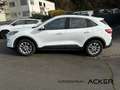 Ford Kuga 1.5 EcoBoost Cool & Connect Navi/WinterPak Weiß - thumbnail 4