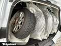 Ford Focus Focus Turnier 1.5 Titanium S+NAVI+KAM+PDC+SHZ+17 Weiß - thumbnail 15