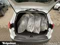 Ford Focus Focus Turnier 1.5 Titanium S+NAVI+KAM+PDC+SHZ+17 Weiß - thumbnail 14