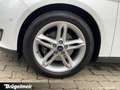 Ford Focus Focus Turnier 1.5 Titanium S+NAVI+KAM+PDC+SHZ+17 Weiß - thumbnail 18
