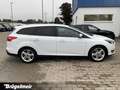 Ford Focus Focus Turnier 1.5 Titanium S+NAVI+KAM+PDC+SHZ+17 Weiß - thumbnail 5
