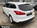 Ford Focus Focus Turnier 1.5 Titanium S+NAVI+KAM+PDC+SHZ+17 Weiß - thumbnail 16