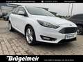 Ford Focus Focus Turnier 1.5 Titanium S+NAVI+KAM+PDC+SHZ+17 Weiß - thumbnail 1