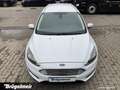 Ford Focus Focus Turnier 1.5 Titanium S+NAVI+KAM+PDC+SHZ+17 Weiß - thumbnail 3