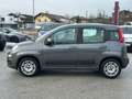 Fiat Panda 1.2 70  Lounge Grau - thumbnail 3