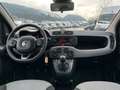 Fiat Panda 1.2 70  Lounge Grau - thumbnail 10