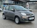 Fiat Panda 1.2 70  Lounge Grau - thumbnail 8