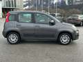 Fiat Panda 1.2 70  Lounge Grau - thumbnail 7