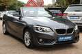 BMW 218 i Cabrio *2.HAND/S-TRONIC/NAVI/LED/PDC* Gri - thumbnail 7